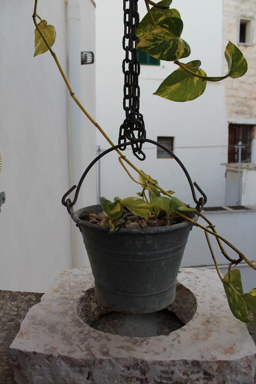 Terracielo Guest House Monopoli Εξωτερικό φωτογραφία