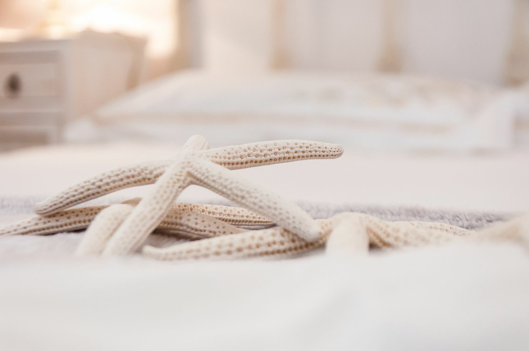 Terracielo Guest House Monopoli Εξωτερικό φωτογραφία